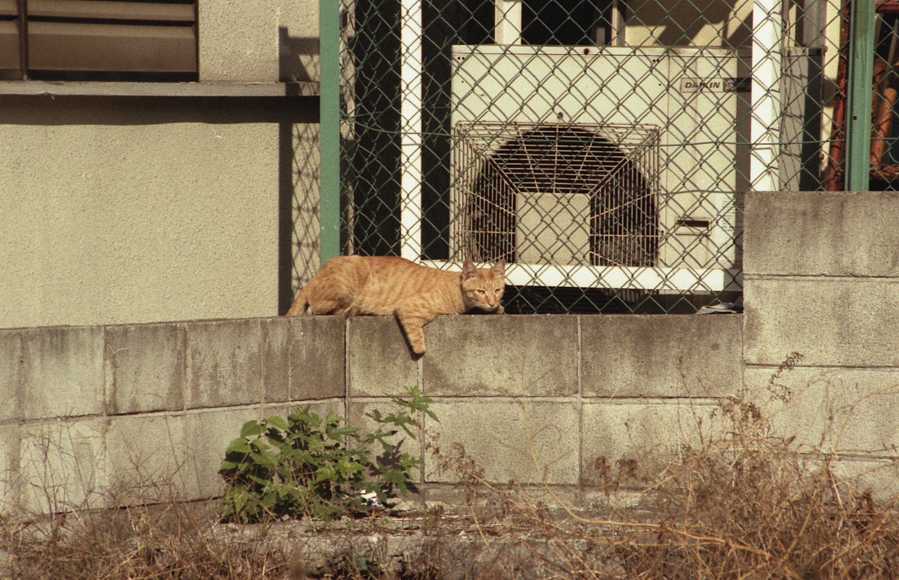 img017