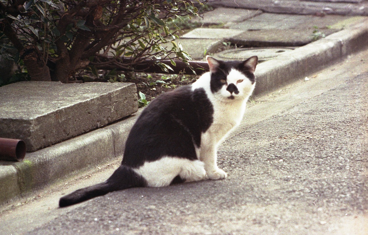 img031