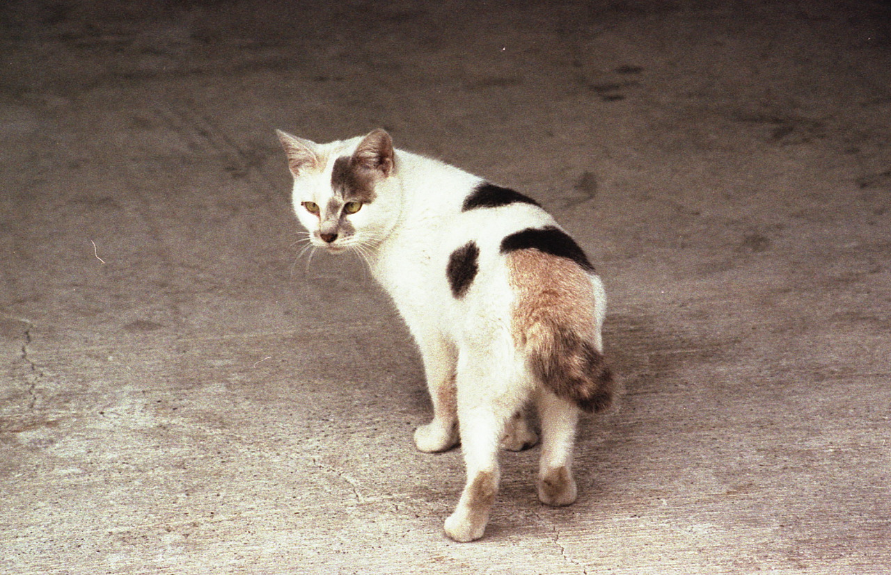 img034
