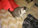 101-0103_IMG_1