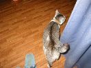 100-0095_IMG_1