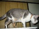 101-0129_IMG_1