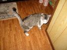 100-0096_IMG_1