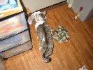 101-0138_IMG_1