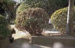 img008