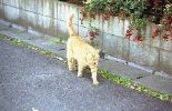 img010