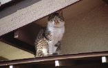 img013