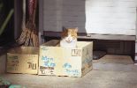 img014