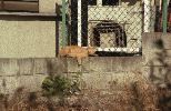img016