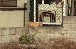img017