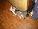 100-0099_IMG_1