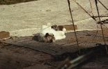 img029