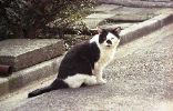 img031