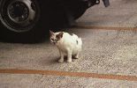 img035