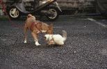 img041