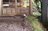 img042