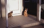 img044