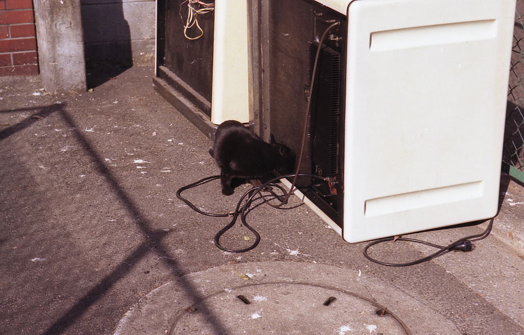 img050