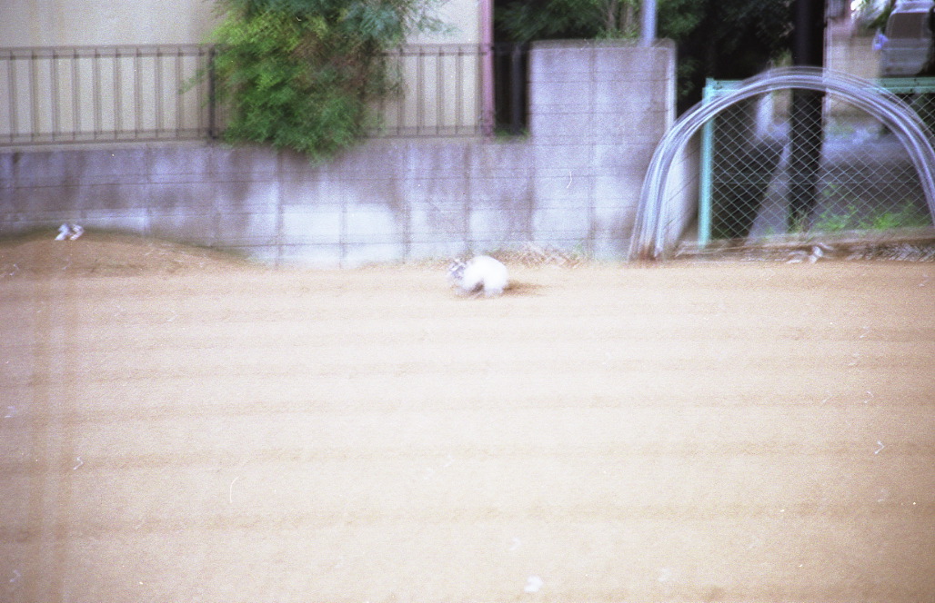 img070