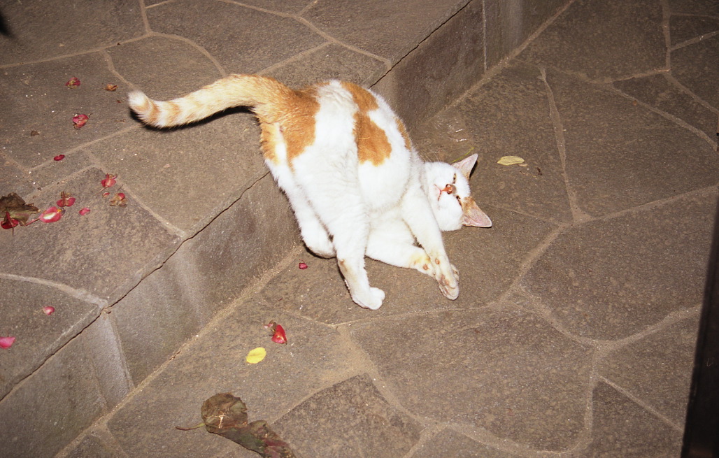 img071