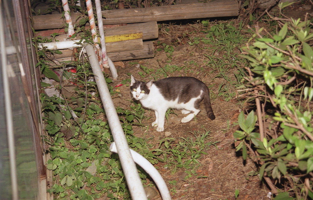 img072