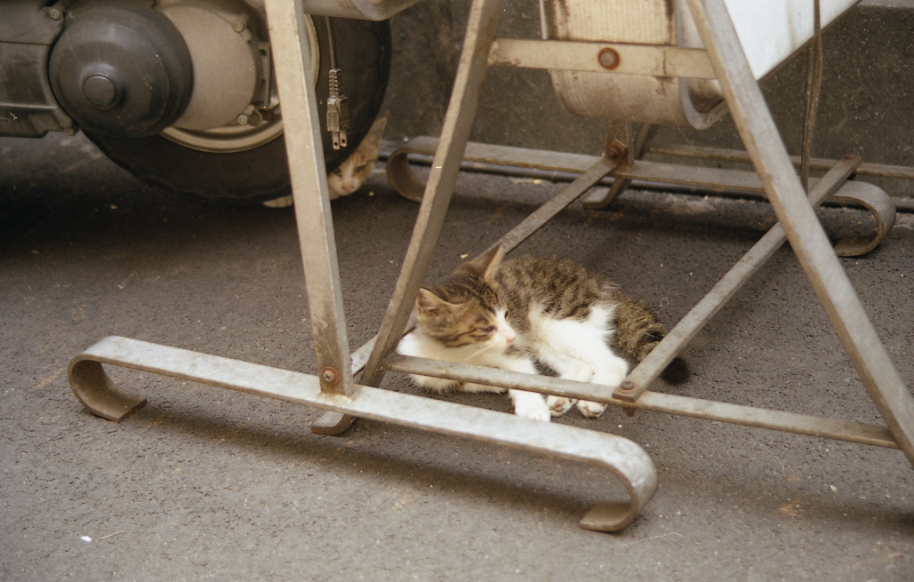img074