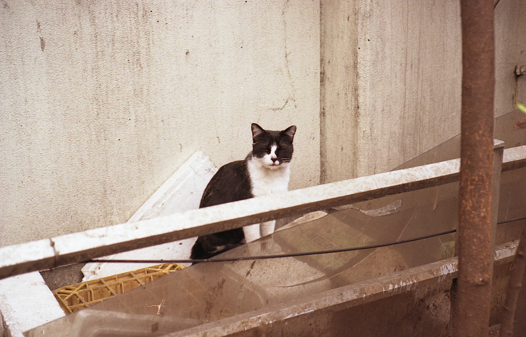 img058