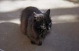 img049