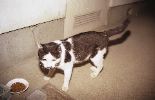img066