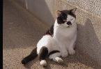 img089