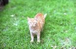 img092