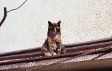 img054