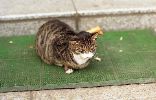img104