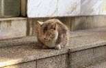 img107
