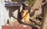 img055