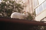 img112