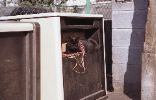 img056