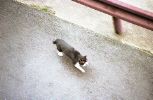 img121