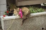img125