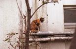 img057