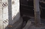img138