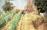 img140