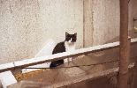 img058
