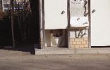 img145