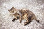 img149