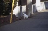 img150