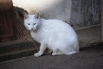 img152