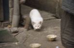 img195