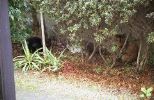 img198