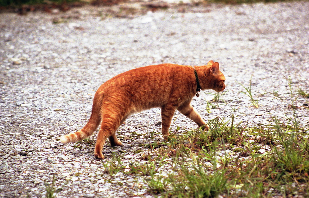 img284
